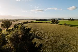 Views over adjoining countryside- click for photo gallery